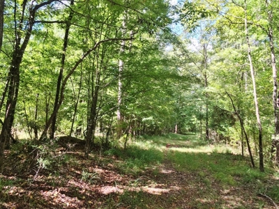 High Fence Hunting Ranch for Sale Wilkinson County MS - image 21