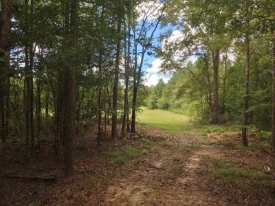 High Fence Hunting Ranch for Sale Wilkinson County MS - image 30