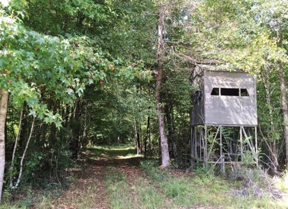 High Fence Hunting Ranch for Sale Wilkinson County MS - image 20
