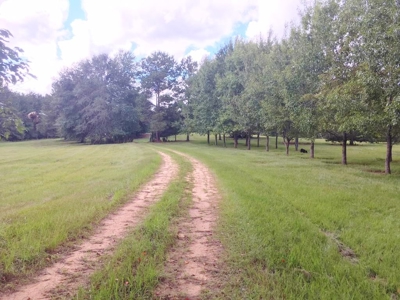 High Fence Hunting Ranch for Sale Wilkinson County MS - image 37