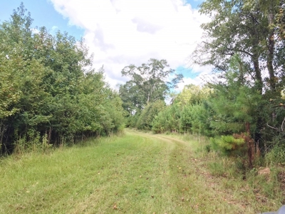 High Fence Hunting Ranch for Sale Wilkinson County MS - image 26