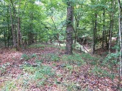 High Fence Hunting Ranch for Sale Wilkinson County MS - image 35