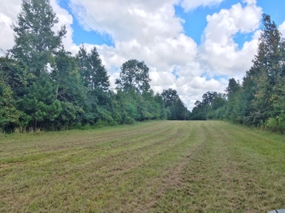 High Fence Hunting Ranch for Sale Wilkinson County MS - image 13