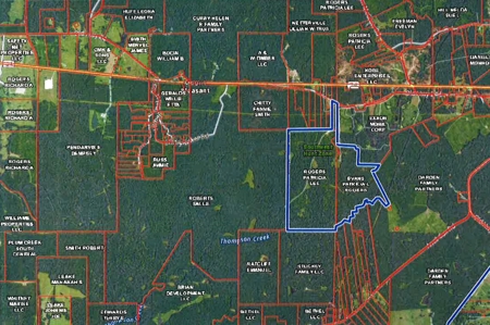 High Fence Hunting Ranch for Sale Wilkinson County MS - image 41