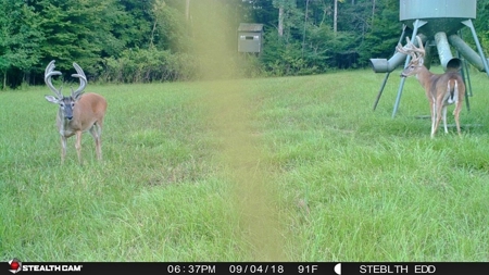 High Fence Hunting Ranch for Sale Wilkinson County MS - image 38