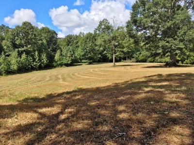 High Fence Hunting Ranch for Sale Wilkinson County MS - image 19