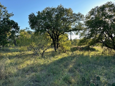 Homesite Lot 336 in Kings Point Cove near Lake Brownwood TX - image 41