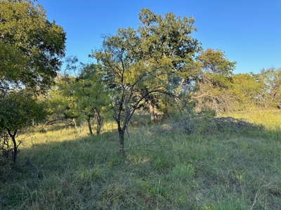 Homesite Lot 336 in Kings Point Cove near Lake Brownwood TX - image 34