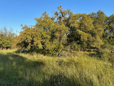 Homesite Lot 336 in Kings Point Cove near Lake Brownwood TX - image 37