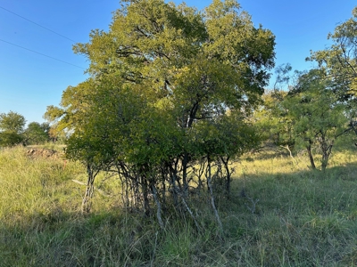 Homesite Lot 336 in Kings Point Cove near Lake Brownwood TX - image 32
