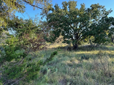 Homesite Lot 336 in Kings Point Cove near Lake Brownwood TX - image 42