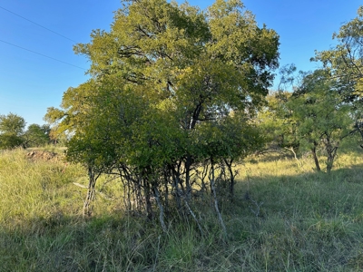 Homesite Lot 336 in Kings Point Cove near Lake Brownwood TX - image 33