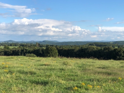 Huntsville, Arkansas-Madison County Acreage For Sale - image 11