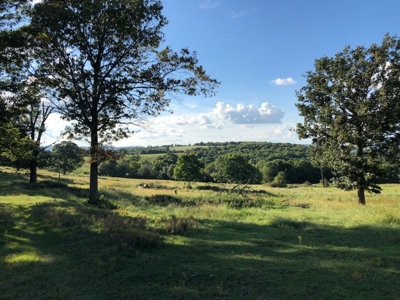 Huntsville, Arkansas-Madison County Acreage For Sale - image 10