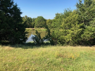 Huntsville, Arkansas-Madison County Acreage For Sale - image 9
