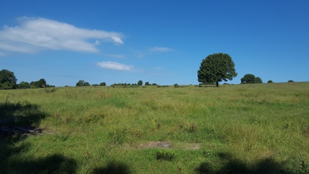 Huntsville, Arkansas-Madison County Acreage For Sale - image 5