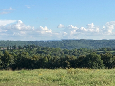 Huntsville, Arkansas-Madison County Acreage For Sale - image 7