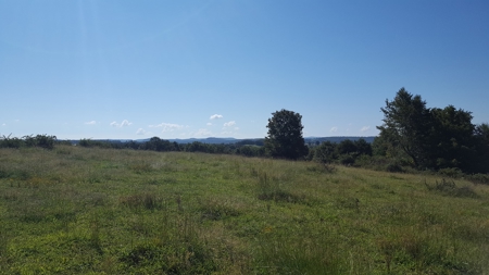 Huntsville, Arkansas-Madison County Acreage For Sale - image 3