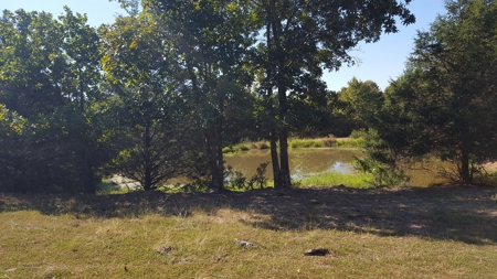Huntsville, Arkansas-Madison County Acreage For Sale - image 2
