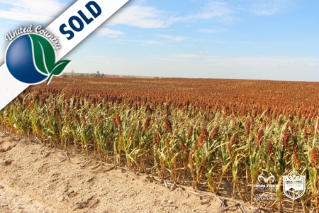 149± Acres of Farmland & Pasture in Trego County, Kansas - image 9