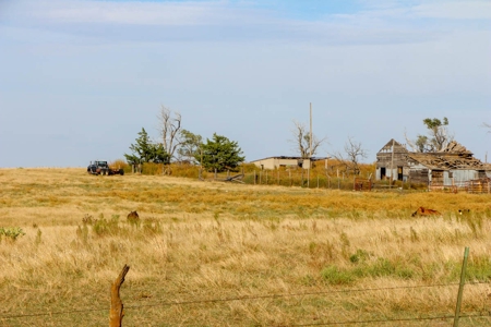 149± Acres of Farmland & Pasture in Trego County, Kansas - image 2