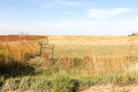 149± Acres of Farmland & Pasture in Trego County, Kansas - image 1