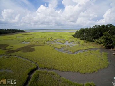 3BR, 3BA Waterfront Home In Coffee Bluff Savannah, GA - image 9