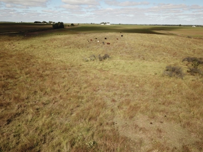 Farm #1 Farm & Mineral Auction in Anthony KS * Harper County - image 14