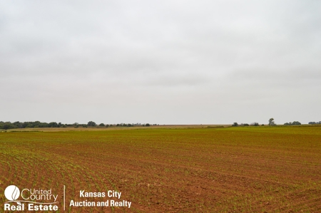 Farm #1 Farm & Mineral Auction in Anthony KS * Harper County - image 4