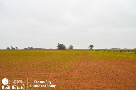 Farm #1 Farm & Mineral Auction in Anthony KS * Harper County - image 6