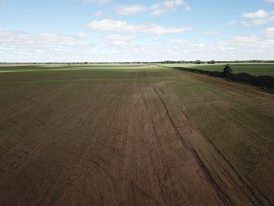 Farm #1 Farm & Mineral Auction in Anthony KS * Harper County - image 12