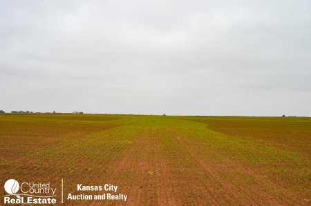 Farm #1 Farm & Mineral Auction in Anthony KS * Harper County - image 5