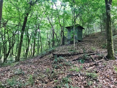 320 Acres South MS Hunting Land for Sale Franklin County, MS - image 2
