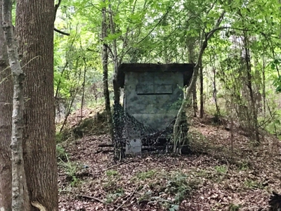 320 Acres South MS Hunting Land for Sale Franklin County, MS - image 10