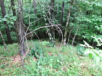 320 Acres South MS Hunting Land for Sale Franklin County, MS - image 15