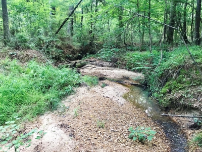 320 Acres South MS Hunting Land for Sale Franklin County, MS - image 7