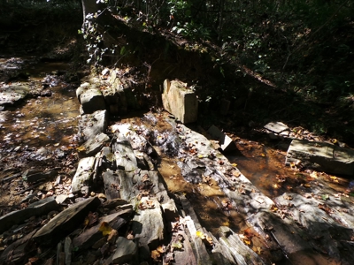 Beaver Pond Farm Near Buggs Island Lake, VA - image 1