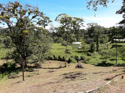 Sustainable land, Bluff  Beach area, Bocas del Toro Panama - image 4