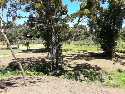 Sustainable land, Bluff  Beach area, Bocas del Toro Panama - image 11