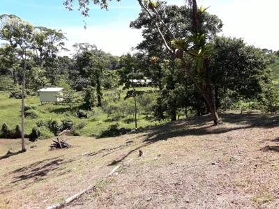 Sustainable land, Bluff  Beach area, Bocas del Toro Panama - image 5