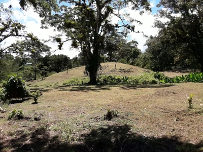 Sustainable land, Bluff  Beach area, Bocas del Toro Panama - image 3