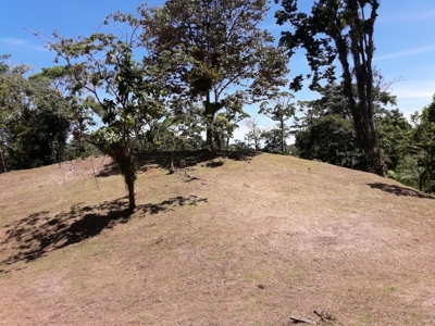 Sustainable land, Bluff  Beach area, Bocas del Toro Panama - image 14