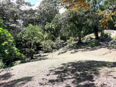Sustainable land, Bluff  Beach area, Bocas del Toro Panama - image 6