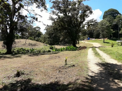 Sustainable land, Bluff  Beach area, Bocas del Toro Panama - image 1