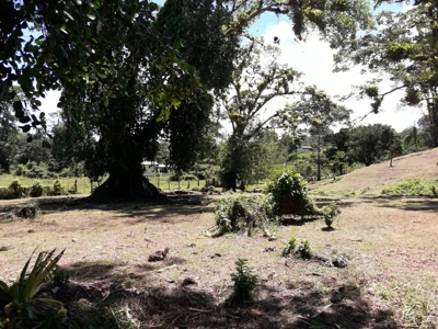 Sustainable land, Bluff  Beach area, Bocas del Toro Panama - image 2