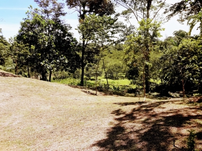 Sustainable land, Bluff  Beach area, Bocas del Toro Panama - image 16