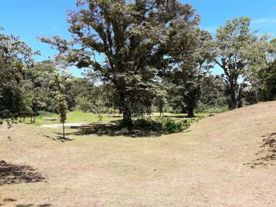 Sustainable land, Bluff  Beach area, Bocas del Toro Panama - image 15