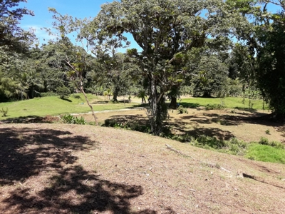 Sustainable land, Bluff  Beach area, Bocas del Toro Panama - image 8