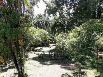 Sustainable land, Bluff  Beach area, Bocas del Toro Panama - image 12