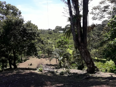 Sustainable land, Bluff  Beach area, Bocas del Toro Panama - image 10
